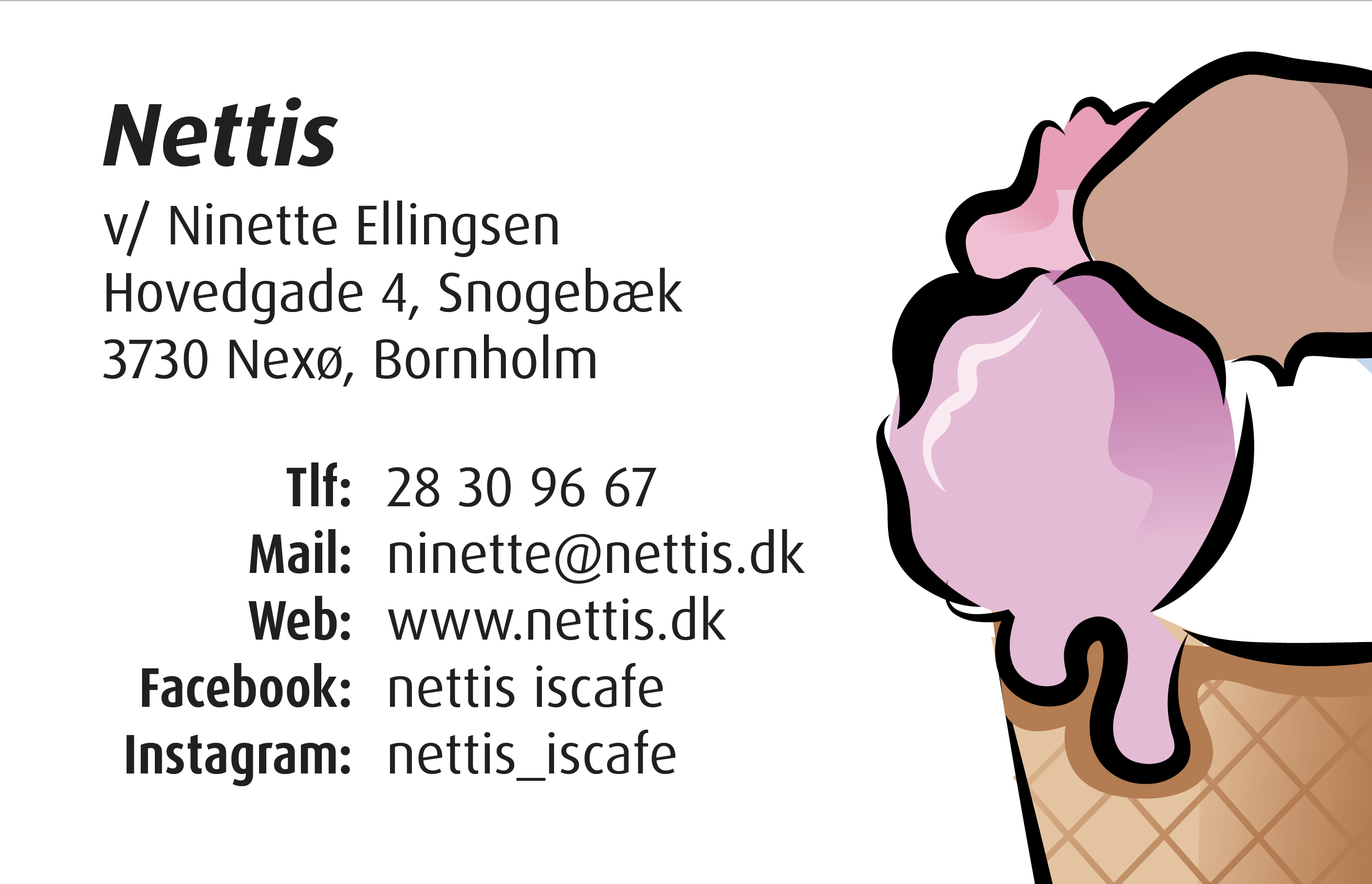 Nettis, Is fra Snogebæk